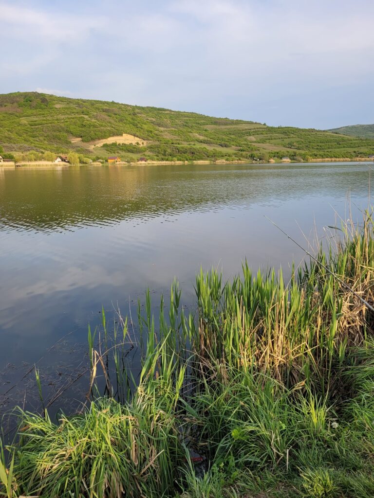 4db386c0-20f7-4c66-9b9f-b149f68f2bc4