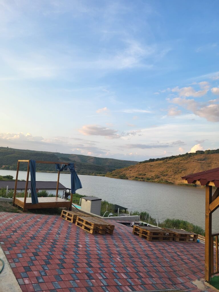 877c4127-6a1e-4be3-8802-d9c644071639