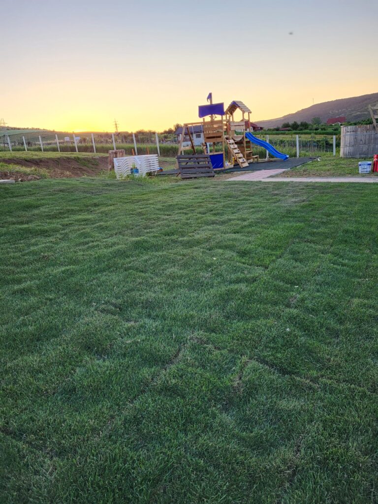 ad440c8e-ff47-45e0-ab7a-6ab69266f064