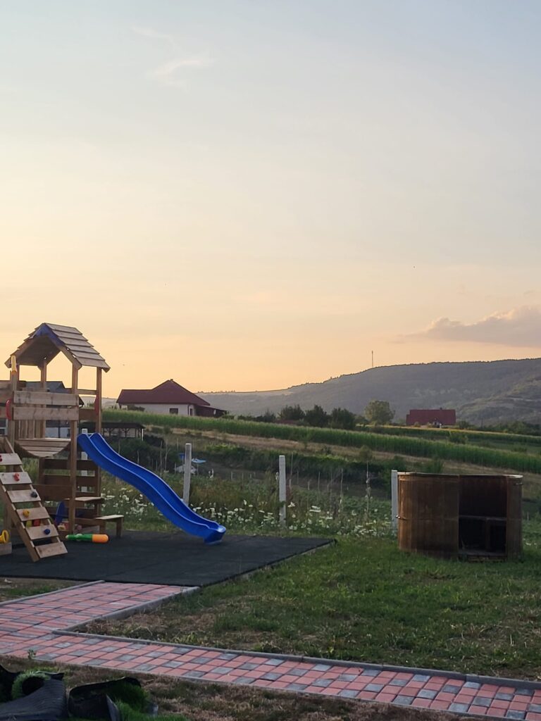 c82e0924-8885-4f60-9a4f-5ea92620d087